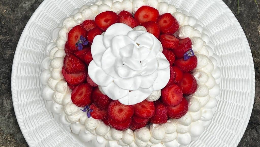 Pavlova ateliers vignette